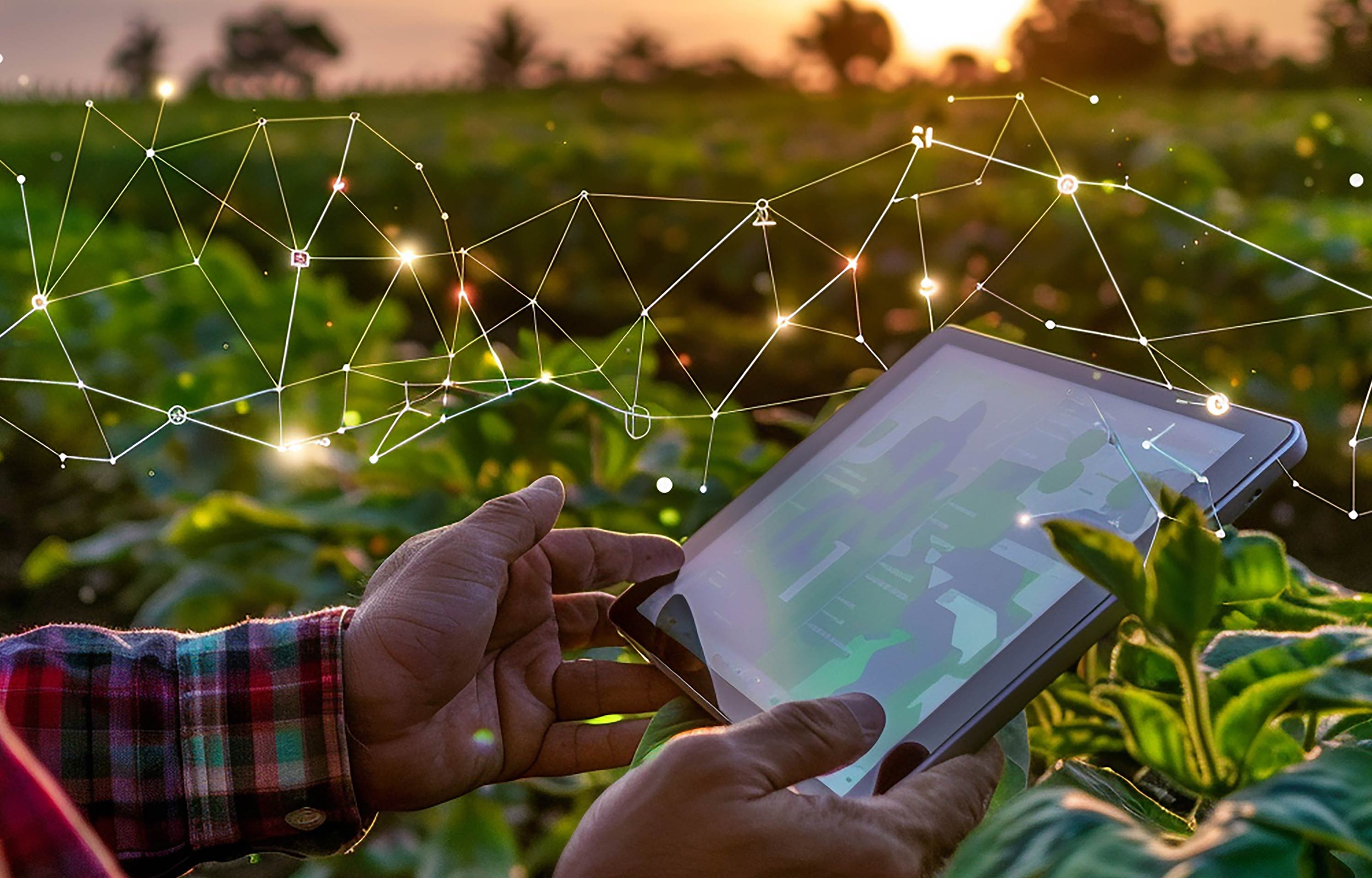 Nutrição das plantas: Como as plantas estão se tornando cada vez mais exigentes e o que isso significa para sua lavoura