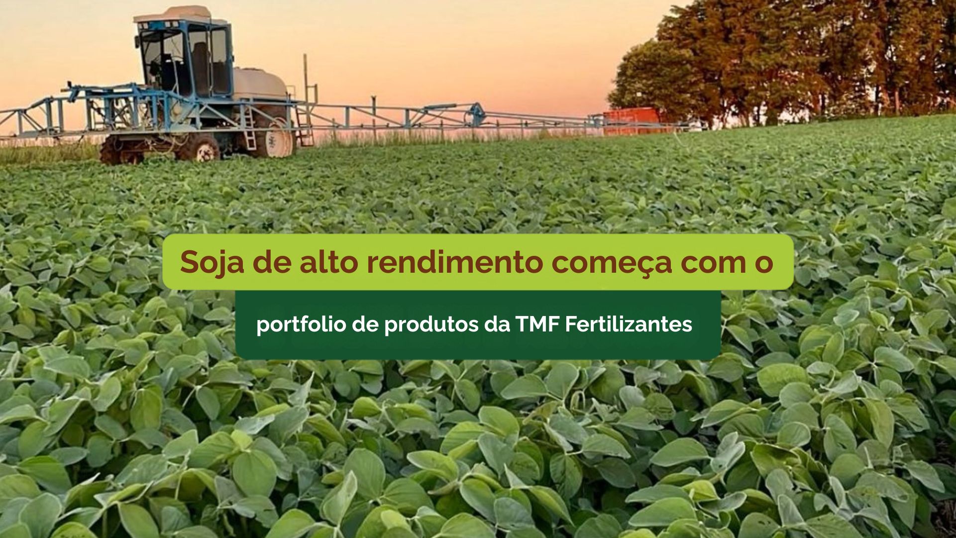 Soja de alto rendimento começa com o portfólio de produtos da TMF Fertilizantes