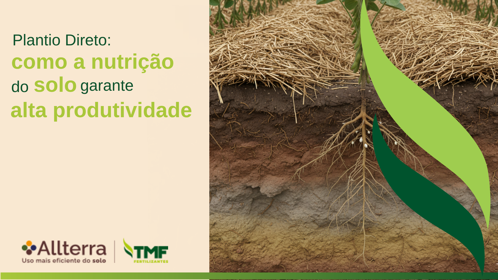 Plantio Direto: Como a Nutrição do Solo Garante Alta Produtividade