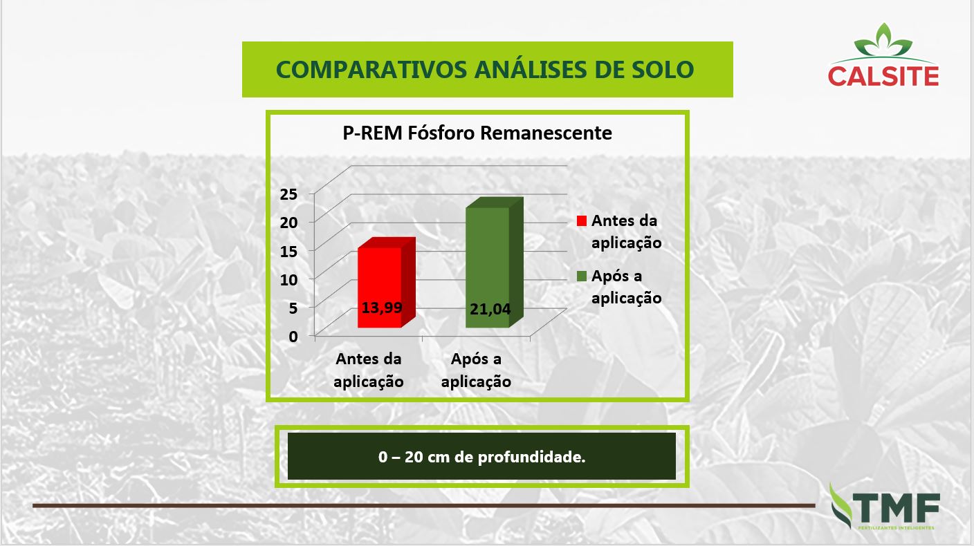 Fazenda Timburi — imagem 5
