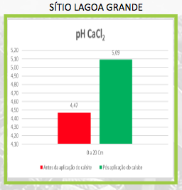 Sítio Lagoa Grande — imagem 3
