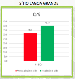 Sítio Lagoa Grande — imagem 1
