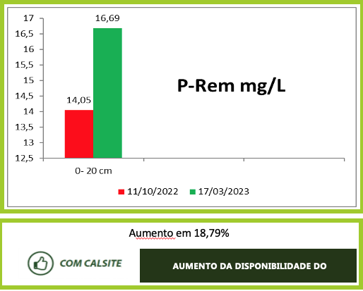 Sítio Capim Fino — imagem 4