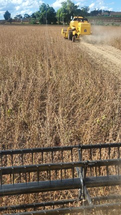 Fazenda São Luiz — imagem 4