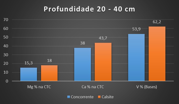 José Alberto Rosa — imagem 4