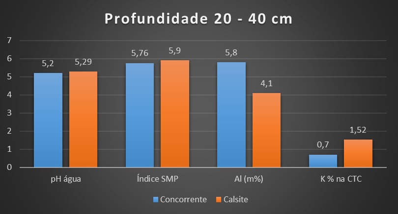 José Alberto Rosa — imagem 3