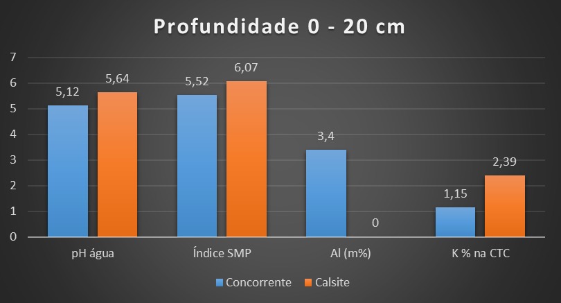 José Alberto Rosa — imagem 1