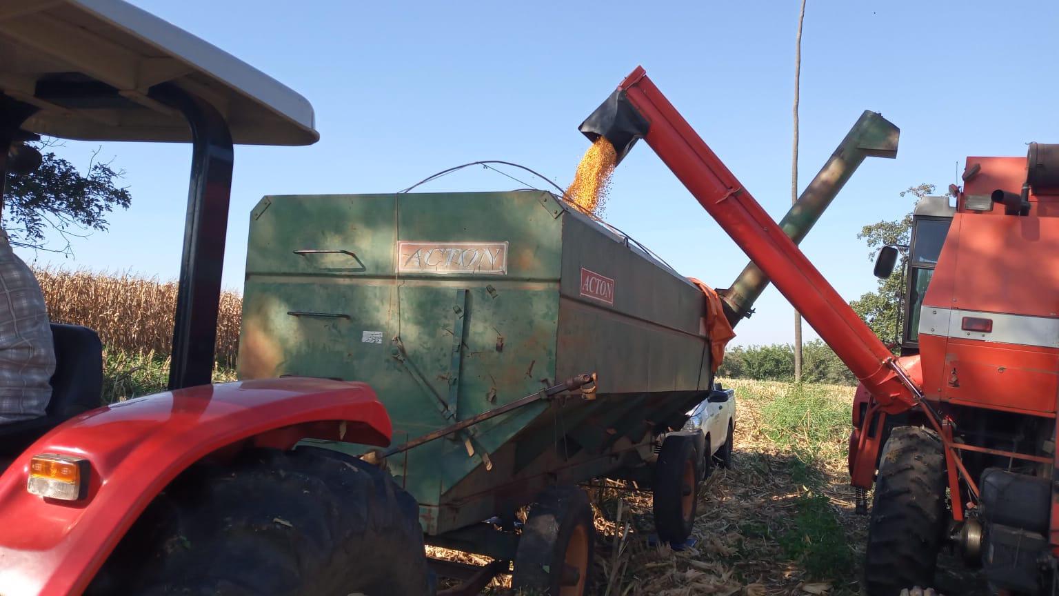 Fazenda Mimosa — imagem 2