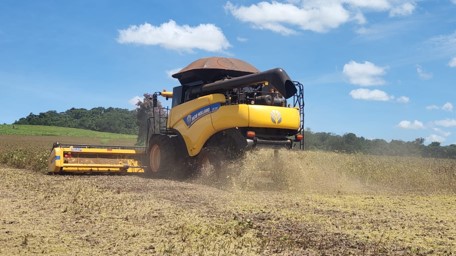 Fazenda Nossa Senhora da Aparecida — imagem 4