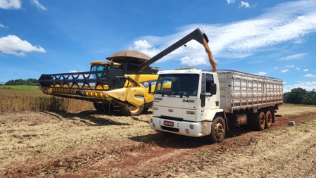 Fazenda Nossa Senhora da Aparecida — imagem 3