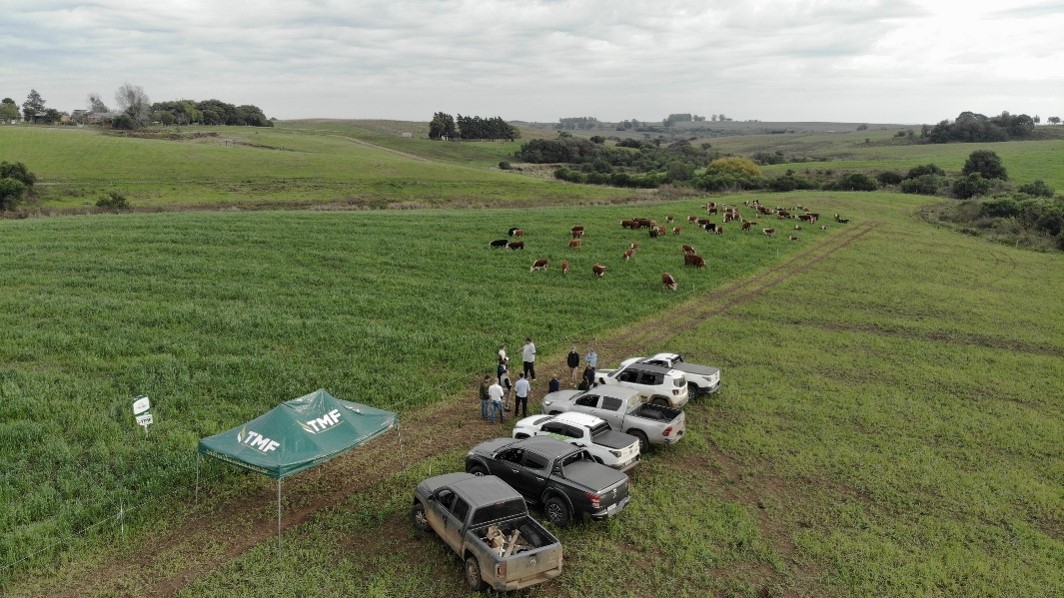 Fazenda Santa Fé — imagem 4
