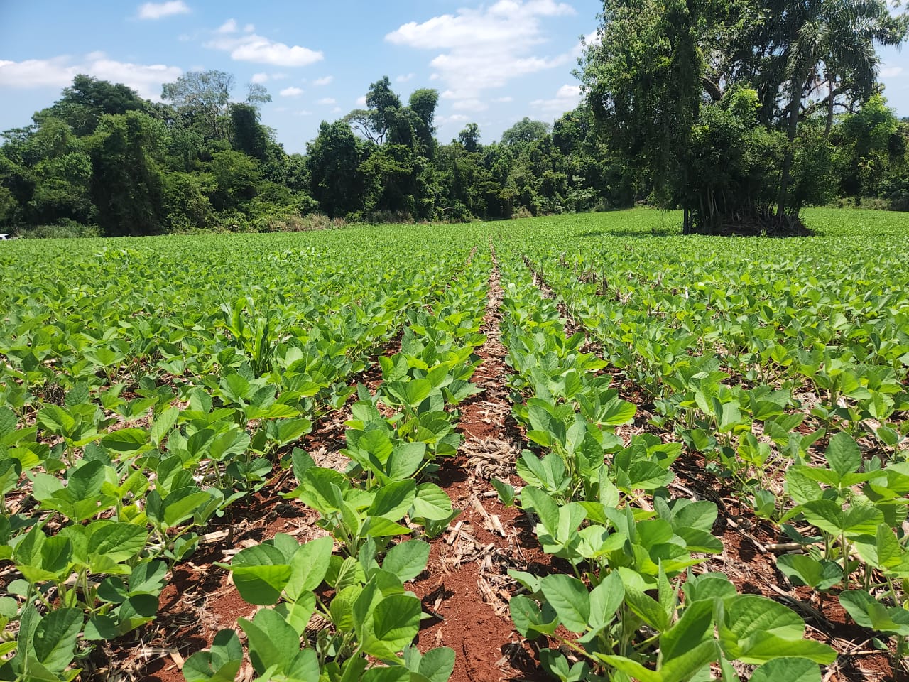 Fazenda Santa Helena — imagem 5