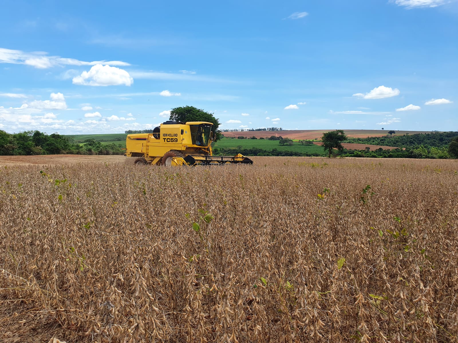 Fazenda Santa Maria — imagem 4