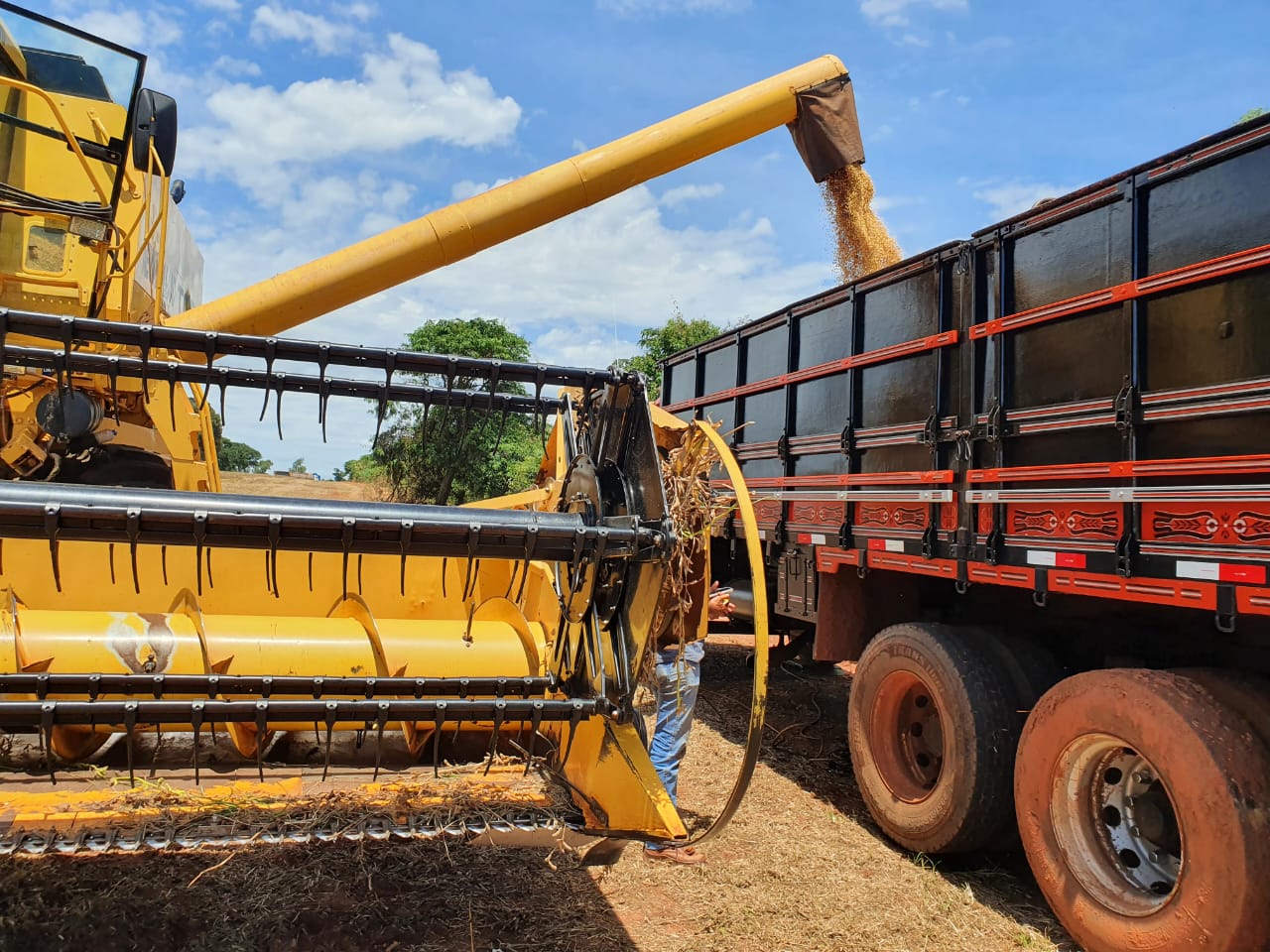 Fazenda Santa Maria — imagem 1