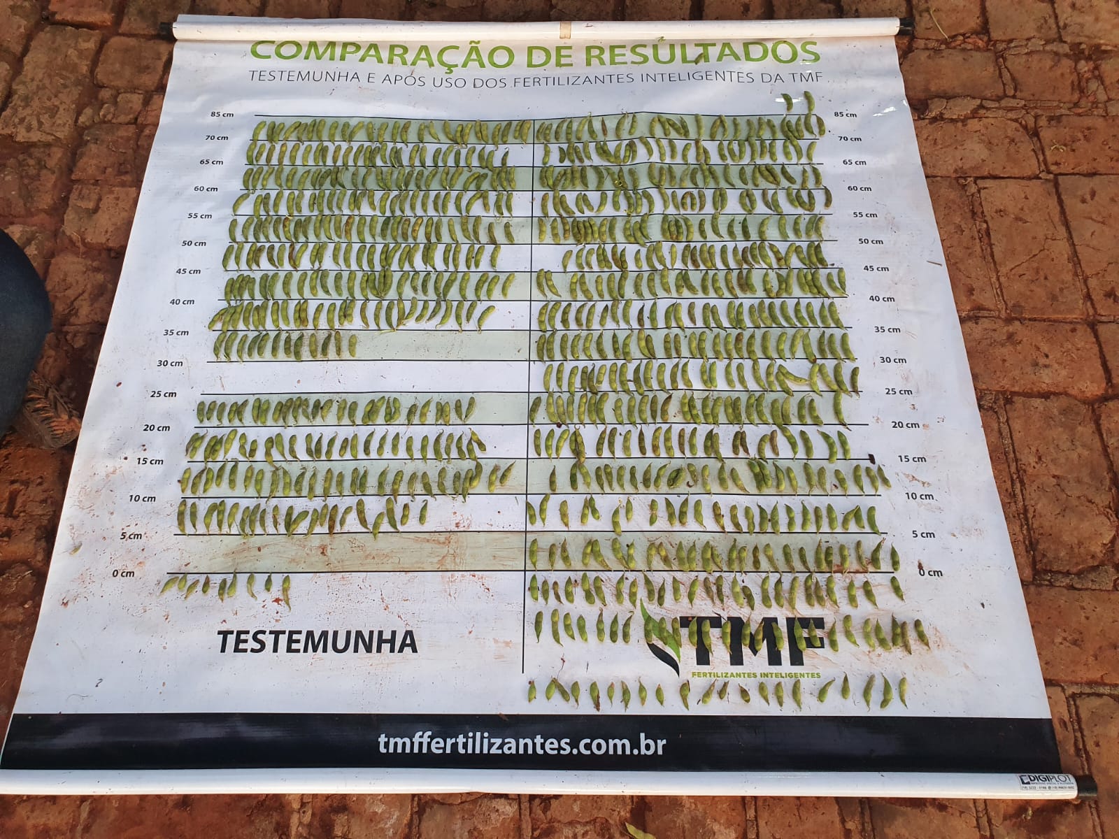 Fazenda Santa Maria — imagem 2