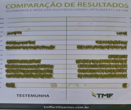 Sítio Graminha — imagem 2
