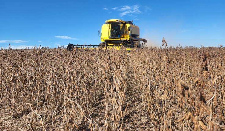 Sítio São José — imagem 7