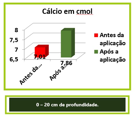 Sítio Santa Inês — imagem 4