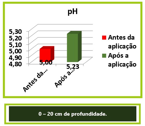 Sítio Santa Inês — imagem 2