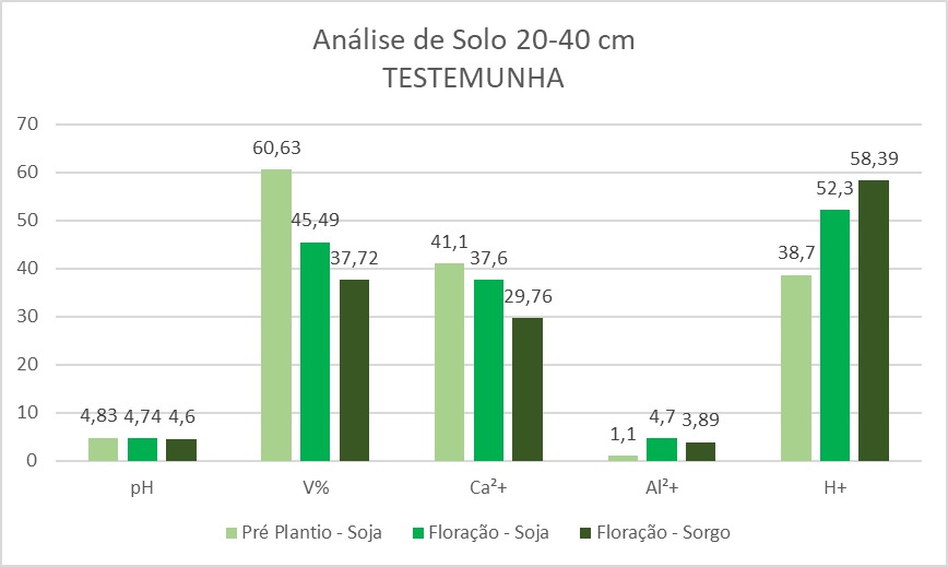 Fazenda Salvati — imagem 2