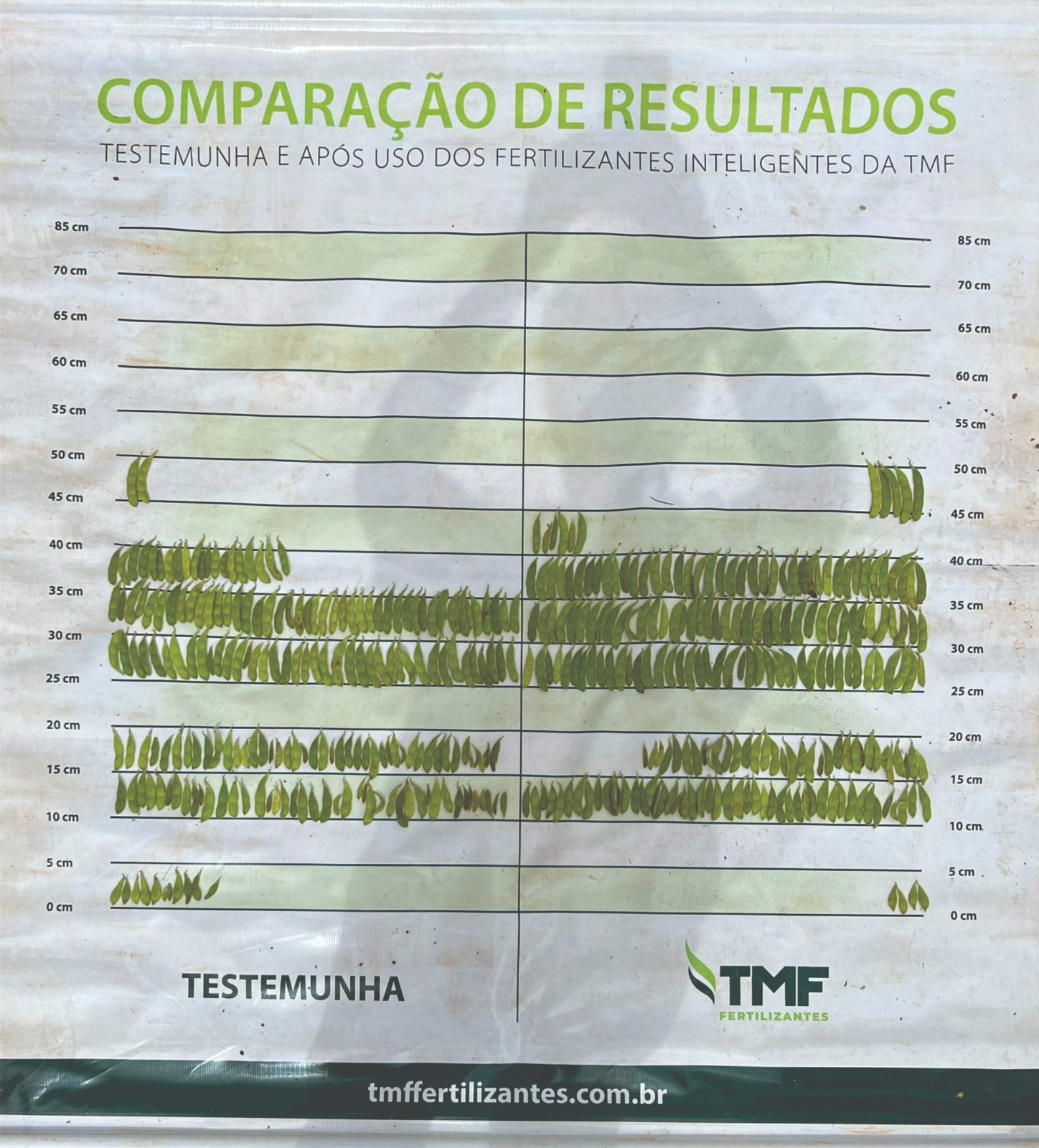 Fazenda Salvati — imagem 5