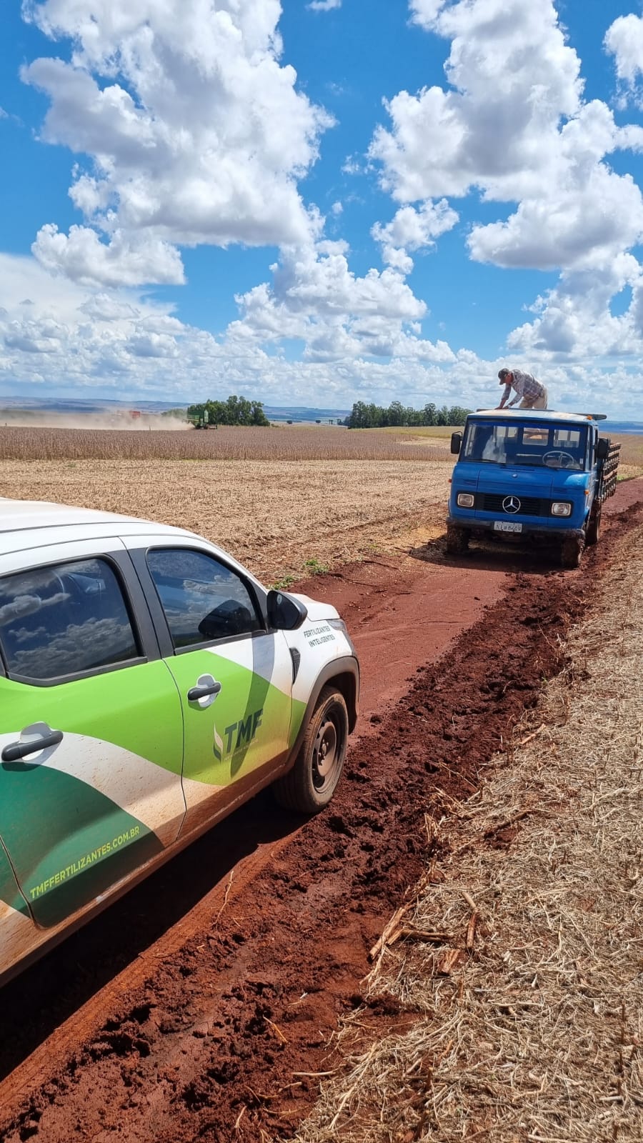 Fazenda São Paulo — imagem 2