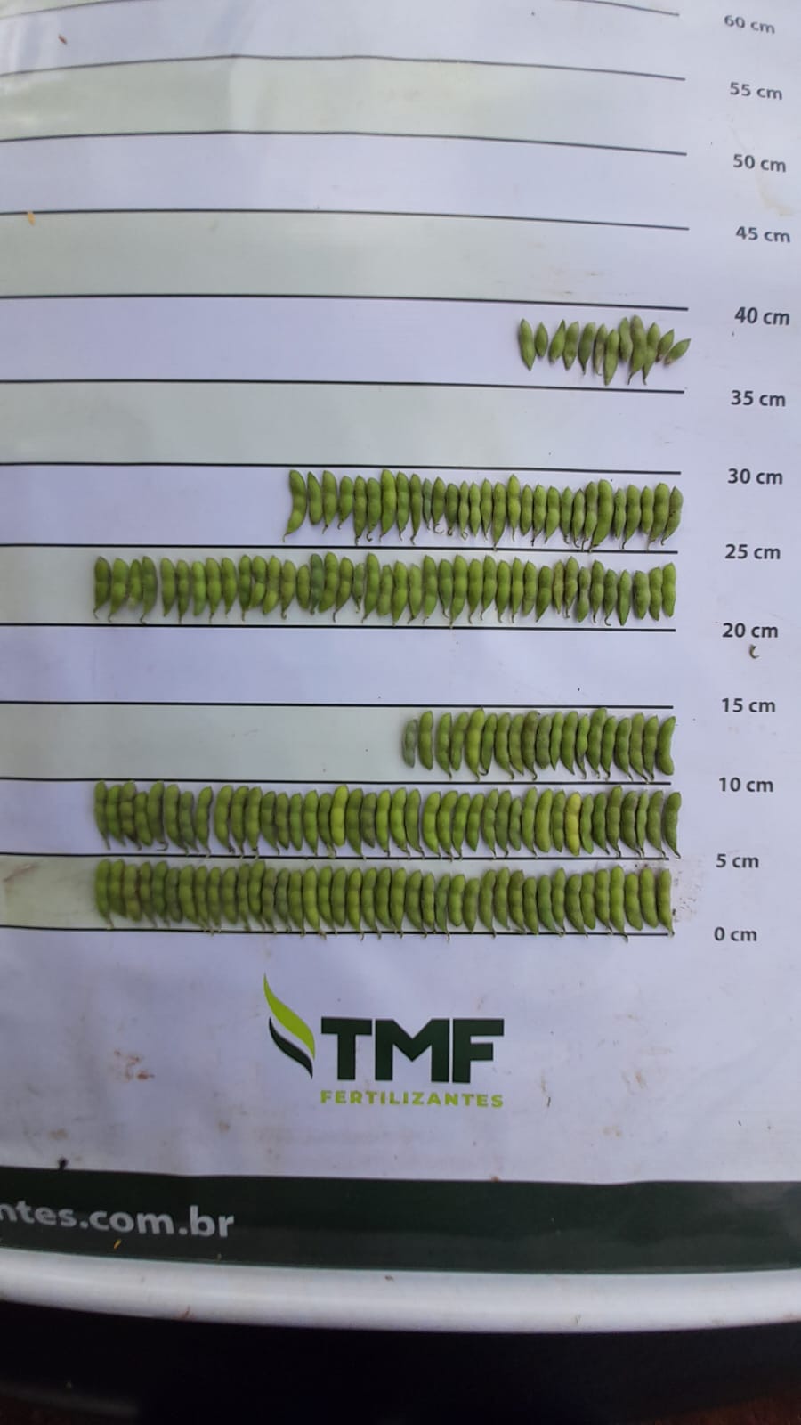 Fazenda Timburi — imagem 8