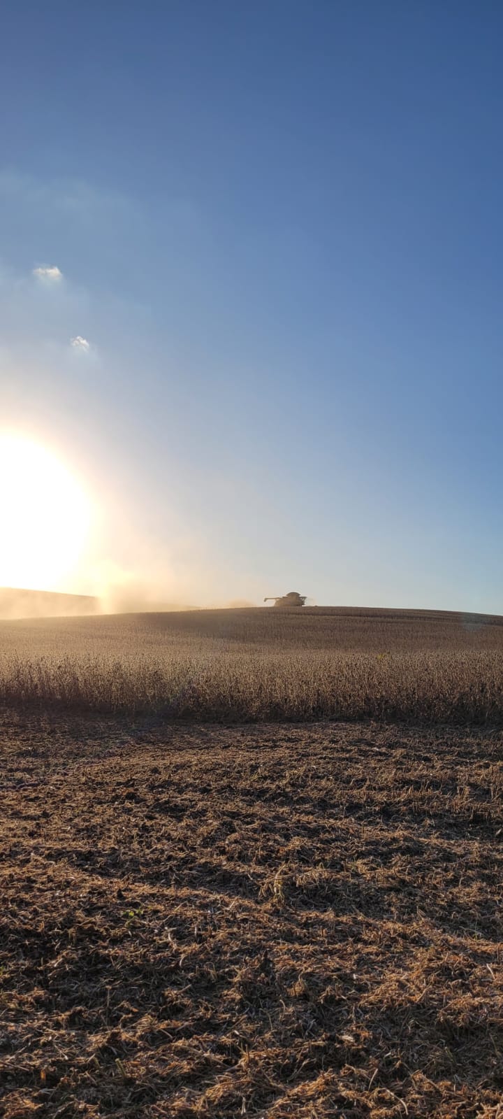 Granja Modelo — imagem 2