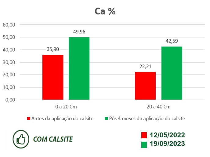 Barreiro belagricola teixeira soares – PR — imagem 1
