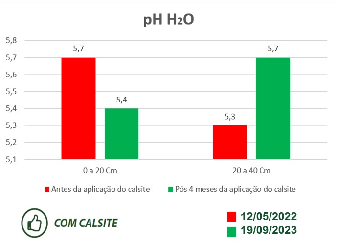 Barreiro belagricola teixeira soares – PR — imagem 3