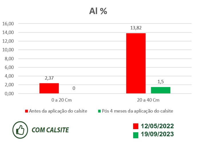 Porto belagricola palmeira — imagem 4