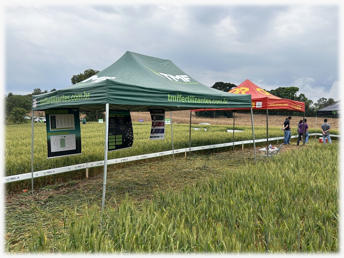 Barreiro belagricola teixeira soares – PR — imagem 6