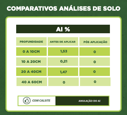 Adão Luiz Seron — imagem 10