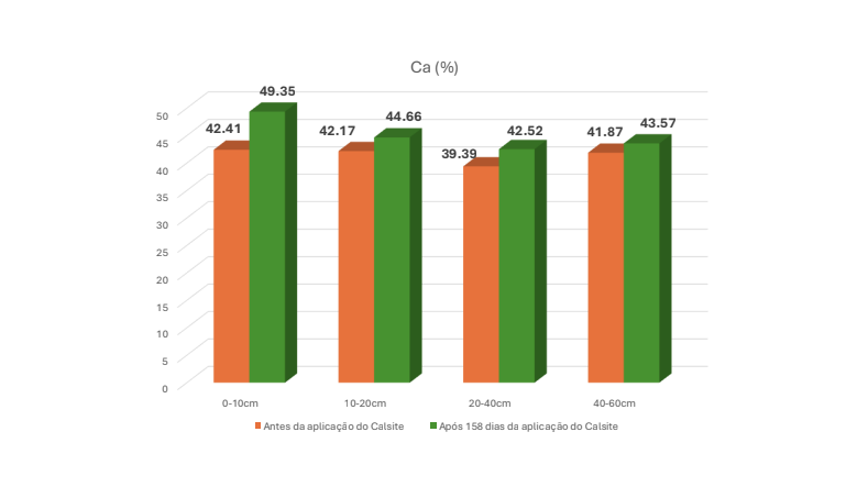 Adão Luiz Seron — imagem 2