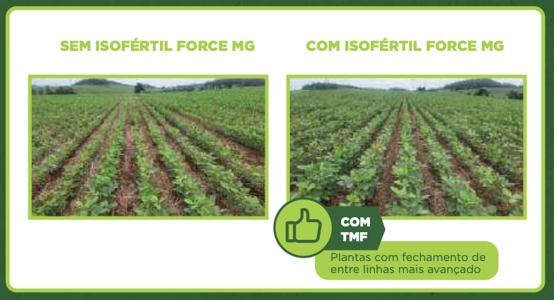 Antônio Carlos Rico — imagem 10