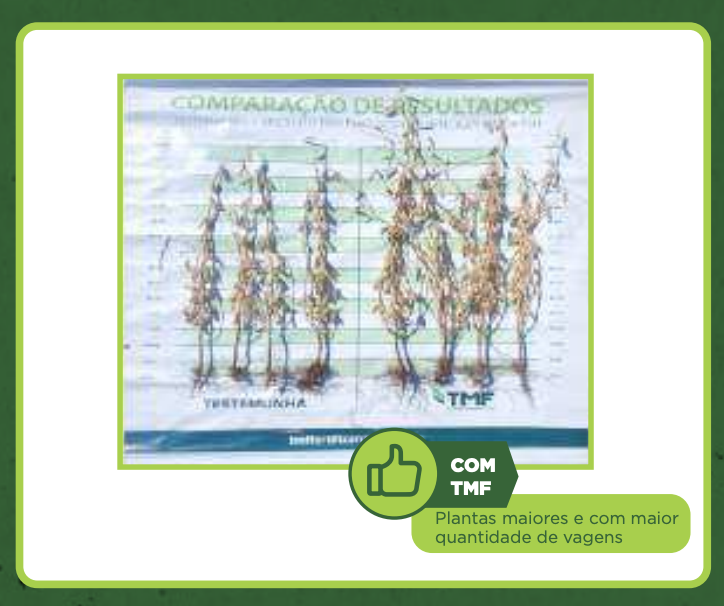 Antônio Carlos Rico — imagem 11