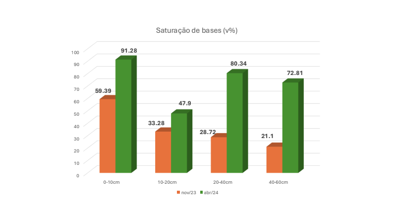 Henrique T. da Fonseca — imagem 6