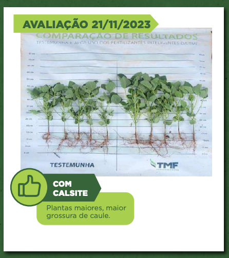 José Mendonça — imagem 8