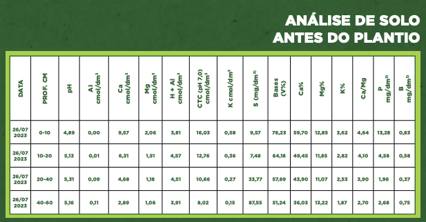 Julinho Tonus — imagem 1