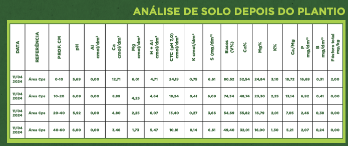 Julinho Tonus — imagem 2