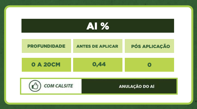 Leandro Rafael Westphal — imagem 5
