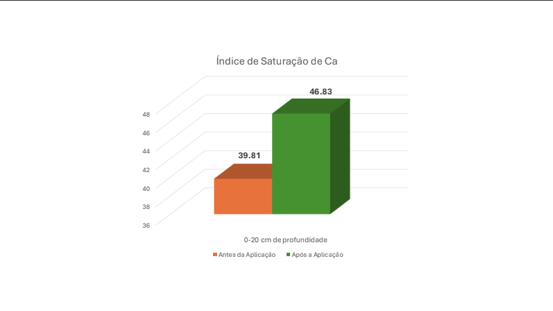 Luciano Bandolin Chiaratto — imagem 1