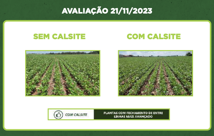 Lúcio Márcio Goldin — imagem 6